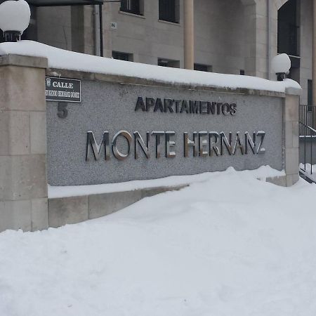 Apartamentos Monte Hernanz Riaza Eksteriør billede